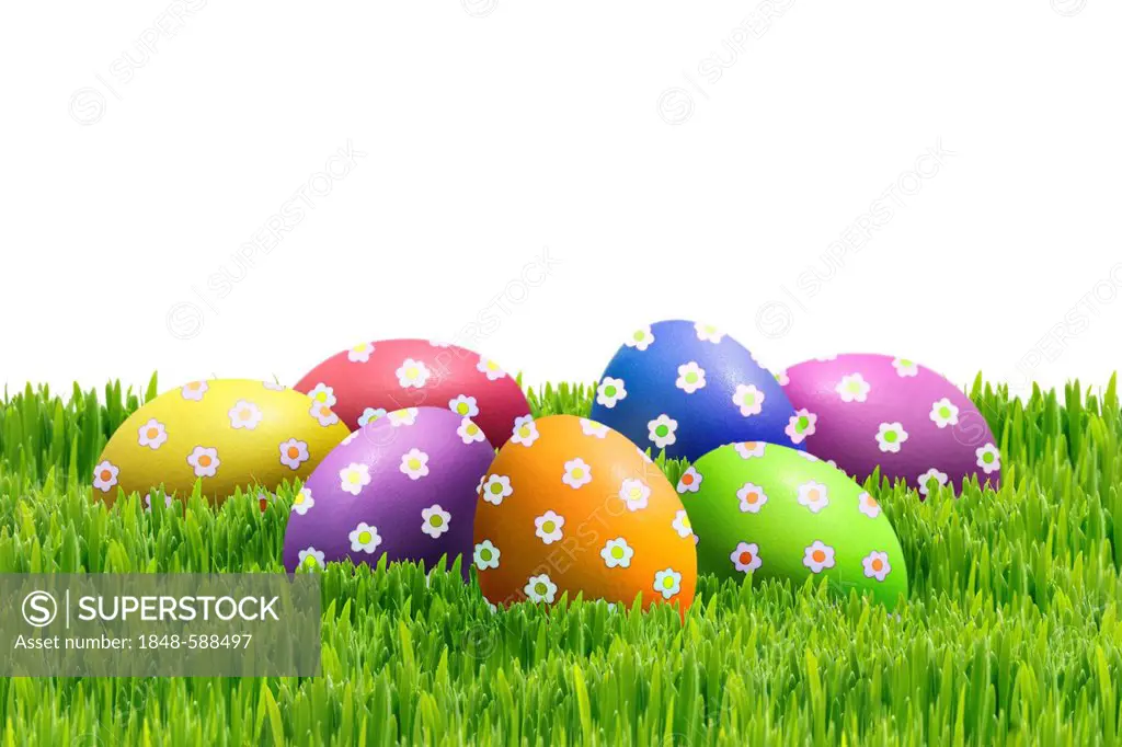 Colourfully painted Easter eggs on green grass