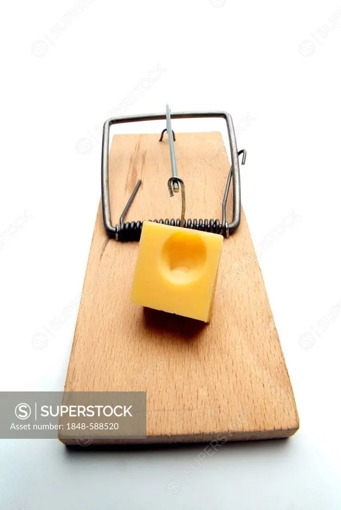 Mousetrap or mouse trap with cheese