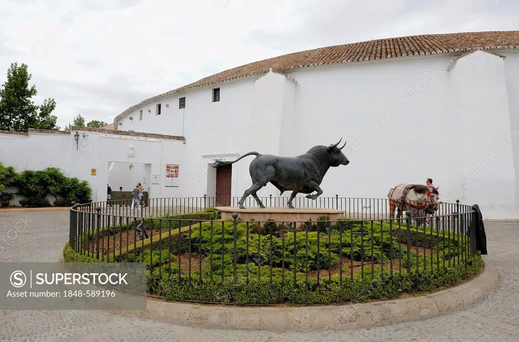 Plaza de Toros de Ronda bullring, Ronda, Andalusia, Spain, Europe