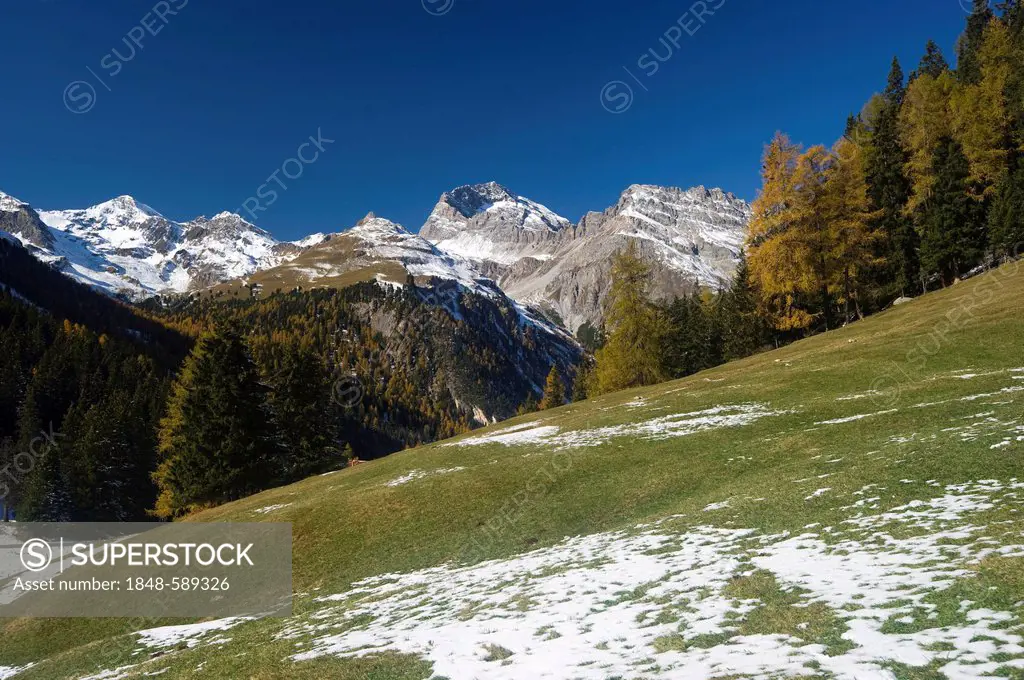 Around Lake Palpuogna, Lai da Palpuogna, with autumnal larches, snow, Berguen, Albula Pass, Canton of Grisons, Switzerland, Europe