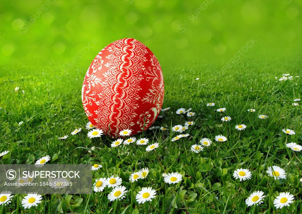 Easter egg with a red and white pattern, ornaments, on a meadow with daisies