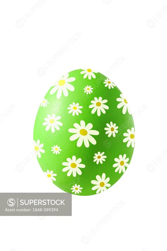 Light green Easter egg painted with daisies