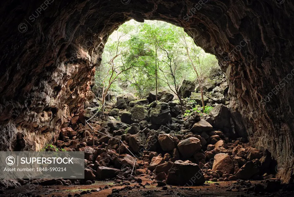 H-Section lava tube, entrance, Undara Volcanic National Park, Undara, Queensland, Australia