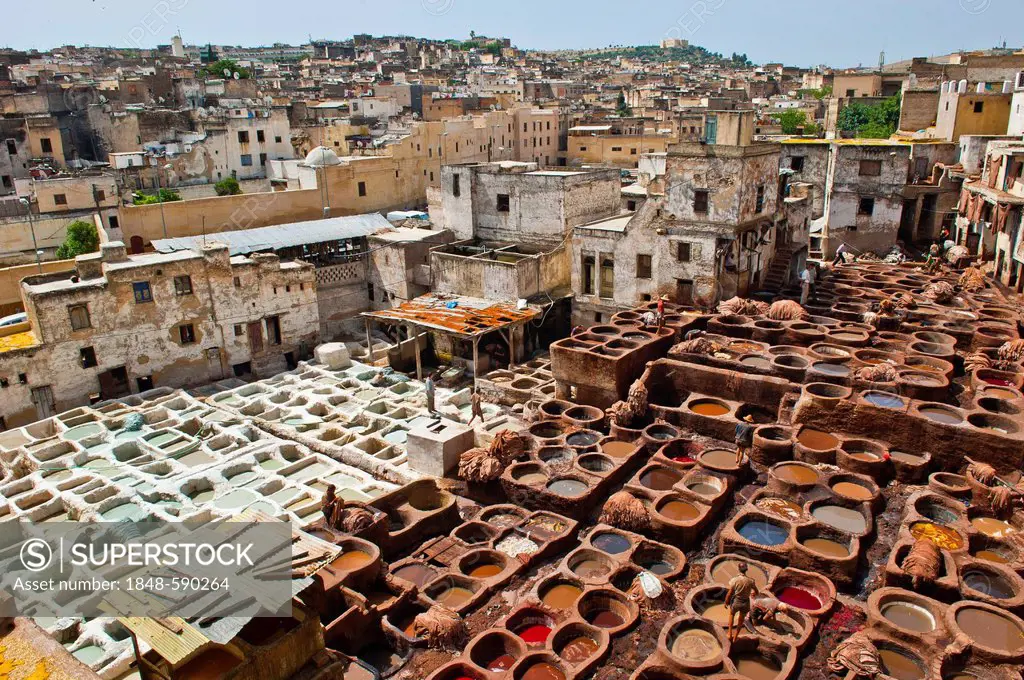 Traditional tannery with tanning and dyeing pits, historic town centre or Medina, UNESCO World Heritage Site, Fez, Morocco, Africa