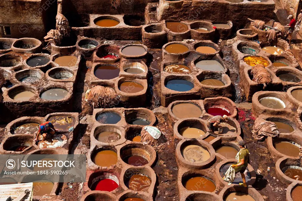 Traditional tannery with dyeing pits, historic town centre or Medina, UNESCO World Heritage Site, Fez, Morocco, Africa