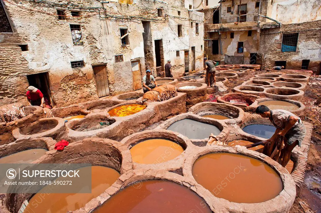 Dyeing pits in the traditional tannery in the historic town centre or Medina, UNESCO World Heritage Site, Fez, Morocco, Africa