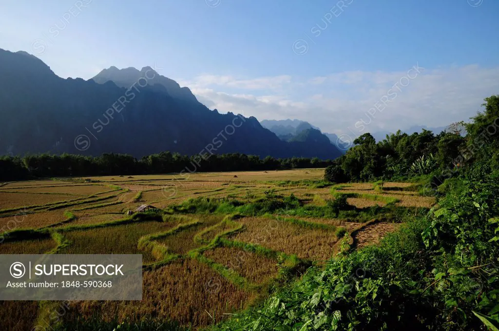 Rice fields and karst mountains in the east of Vang Vieng, Laos, Southeast Asia, Asia
