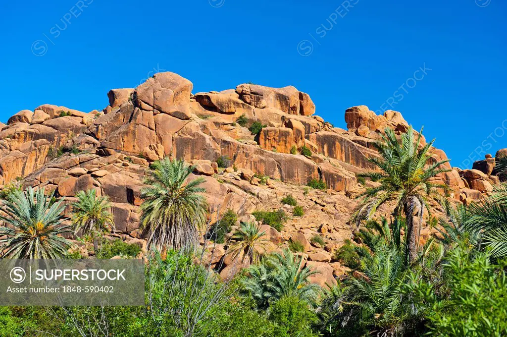 Typical mountain scenery, granite boulders in front of date palms, Anti-Atlas Mountains, southern Morocco, Morocco, Africa