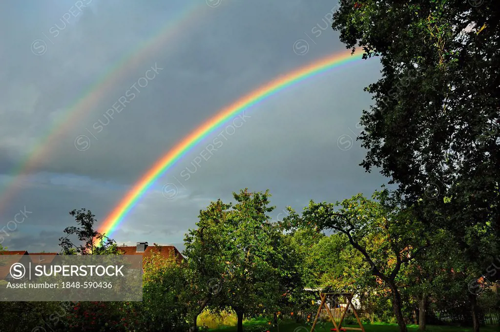 Rainbow over an orchard, Voegelsen, Lower Saxony, Germany, Europe