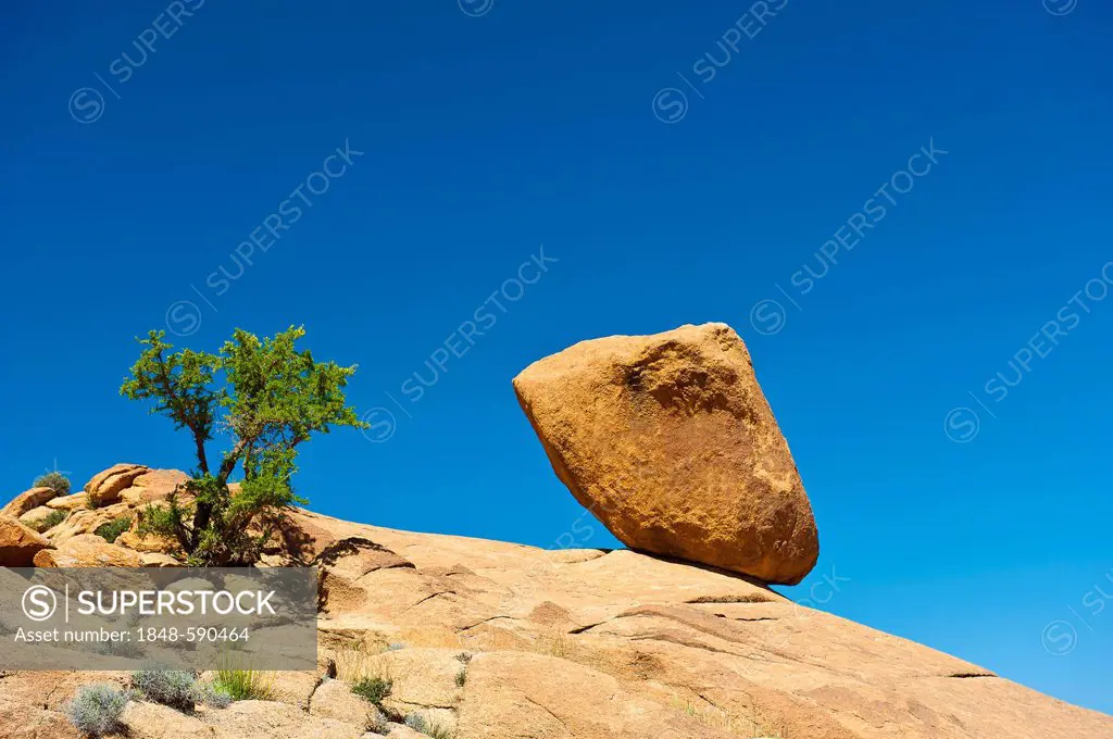 Huge granite boulder and a small Argan Tree (Argania spinosa) on a ledge in the Anti-Atlas Mountains, southern Morocco, Morocco, Africa