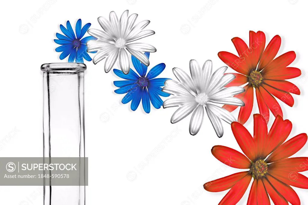 White, blue and red flowers beside a test tube, scientific illustration