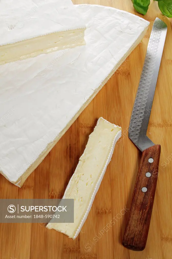 Brie and a cheese knife
