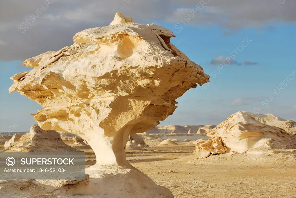 Mushroom-shaped limestone rock formation, White Desert, Farafra Oasis, Libyan Desert, also known as Western Desert, Sahara, Egypt, Africa