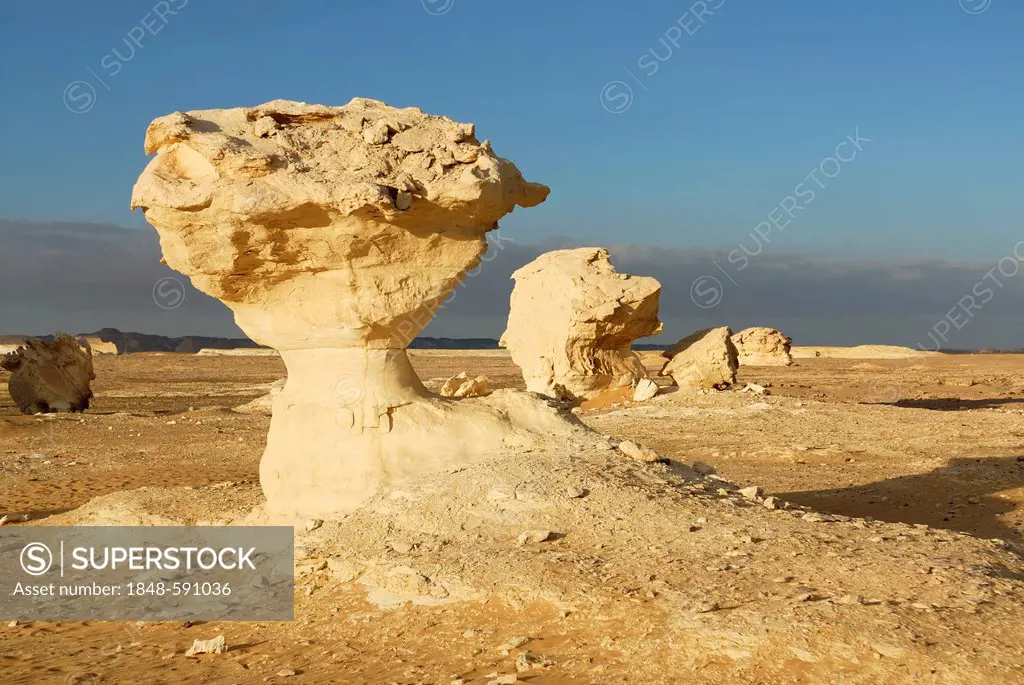 Mushroom-shaped limestone rock formations, White Desert, Farafra Oasis, Libyan Desert, also known as Western Desert, Sahara, Egypt, Africa