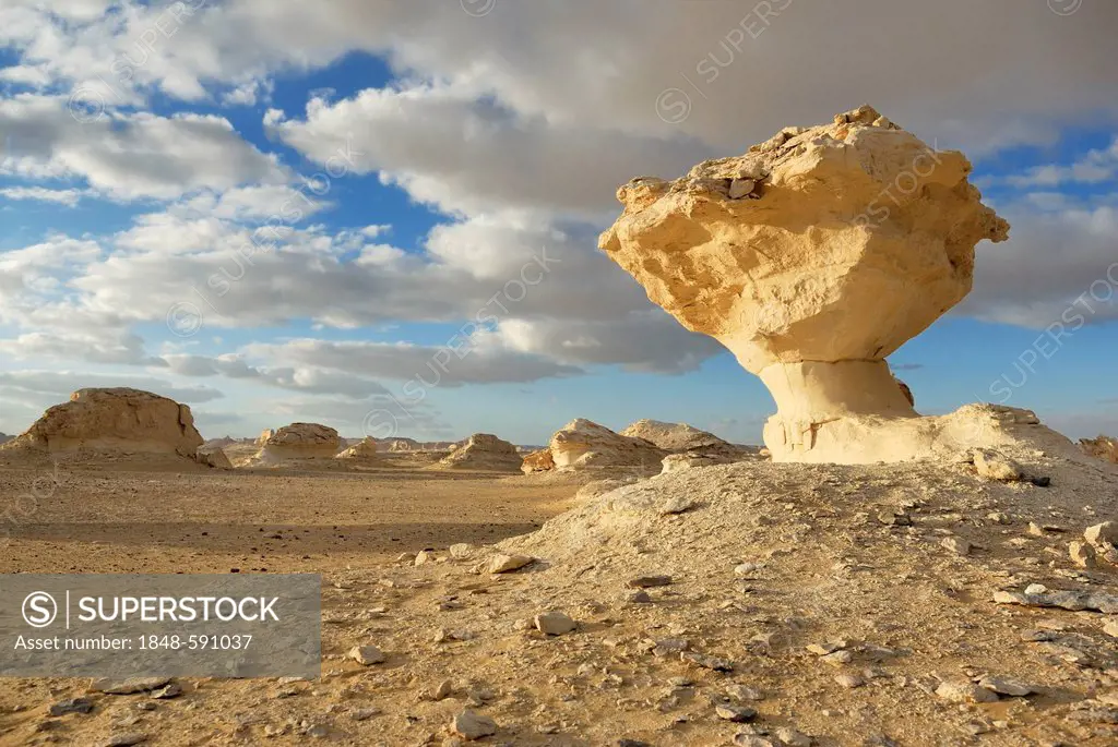 Mushroom-shaped limestone rock formation, White Desert, Farafra Oasis, Libyan Desert, also known as Western Desert, Sahara, Egypt, Africa