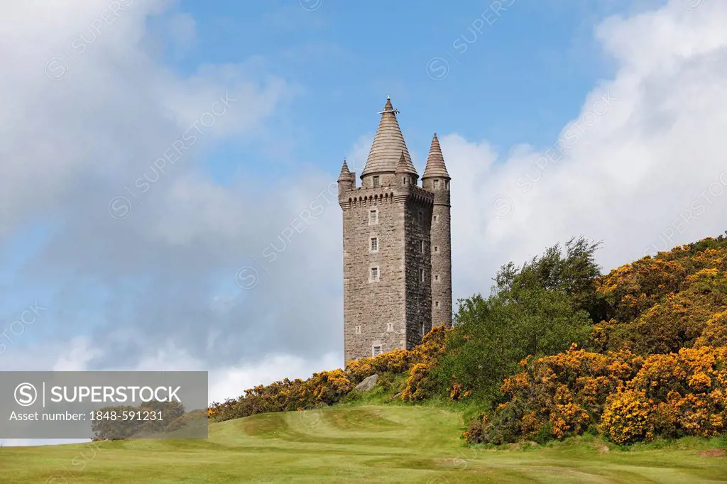 Scrabo Tower, Newtownards, County Down, Northern Ireland, Ireland, United Kingdom, Europe, PublicGround