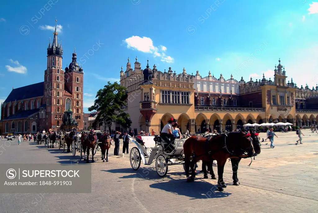 Old Market Square, Rynek Glówny, St. Mary's Church, Sukiennice or Cloth Hall, horse-drawn carriage, historic town centre of Krakow, UNESCO World Herit...