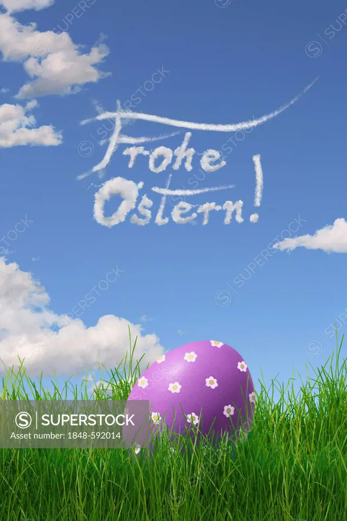 Easter Egg painted with flowers, lettering Frohe Ostern, German for Happy Easter