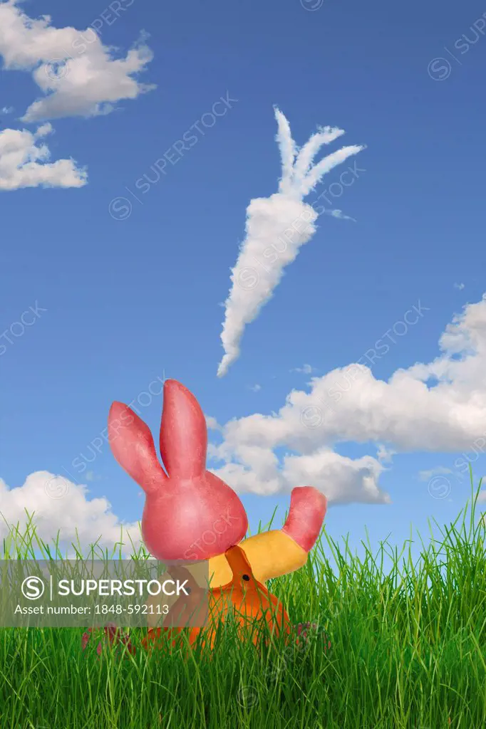 Bunny looking at a cloud shaped like a carrot, illustration