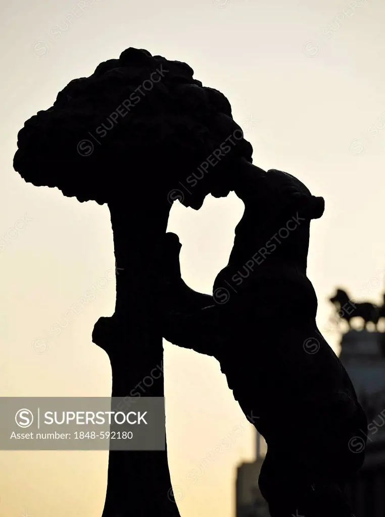 Bronze statue, monument, the bear nibbling on a strawberry tree or mulberry tree, El Oso y el Madrono, landmark and city coat of arms of the city of M...