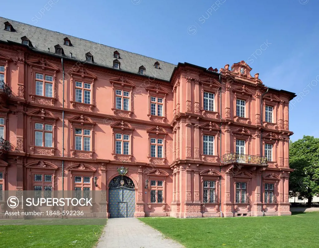 Former Electoral Palace in Mainz, Roman-Germanic Central Museum, Rhineland-Palatinate, Germany, Europe, PublicGround