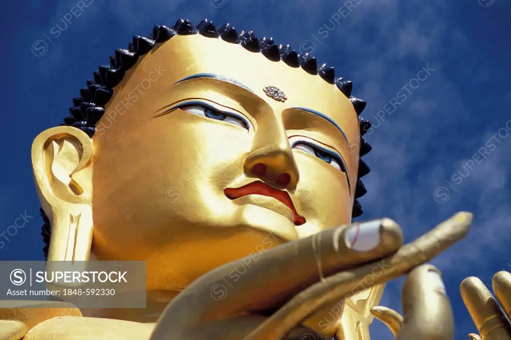 Maitreya, head of a large Buddha statue covered with gold leaf, Likir Monastery, Ladakh, Jammu and Kashmir, North India, India, Asia