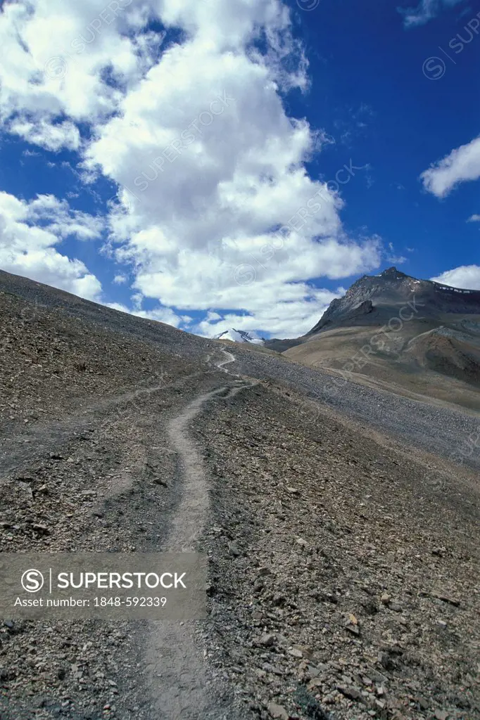 Path leading to Mt Sisir La or Sisir Pass, Zanskar, Ladakh, Jammu and Kashmir, Indian Himalayas, North India, India, Asia