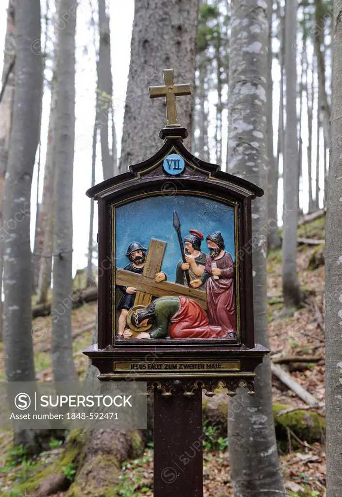 Stations of the Cross at Riederstein, Station VII, Jesus falls the second time, Rottach-Egern, Lake Tegernsee, Upper Bavaria, Bavaria, Germany, Europe...