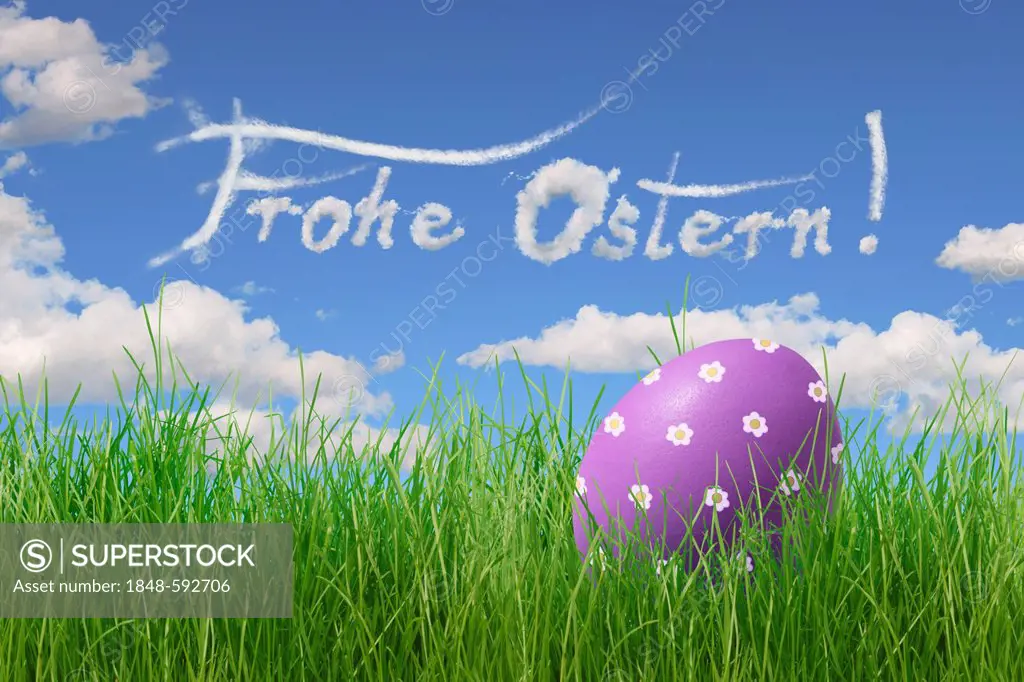 Easter Egg painted with flowers, lettering Frohe Ostern, German for Happy Easter