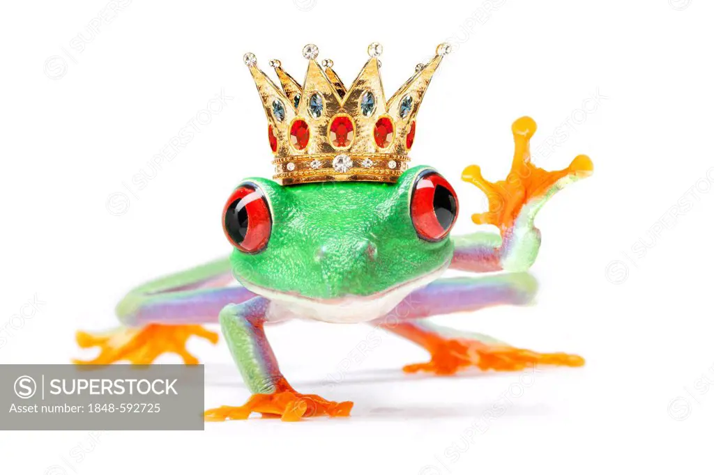 Waving frog wearing a crown