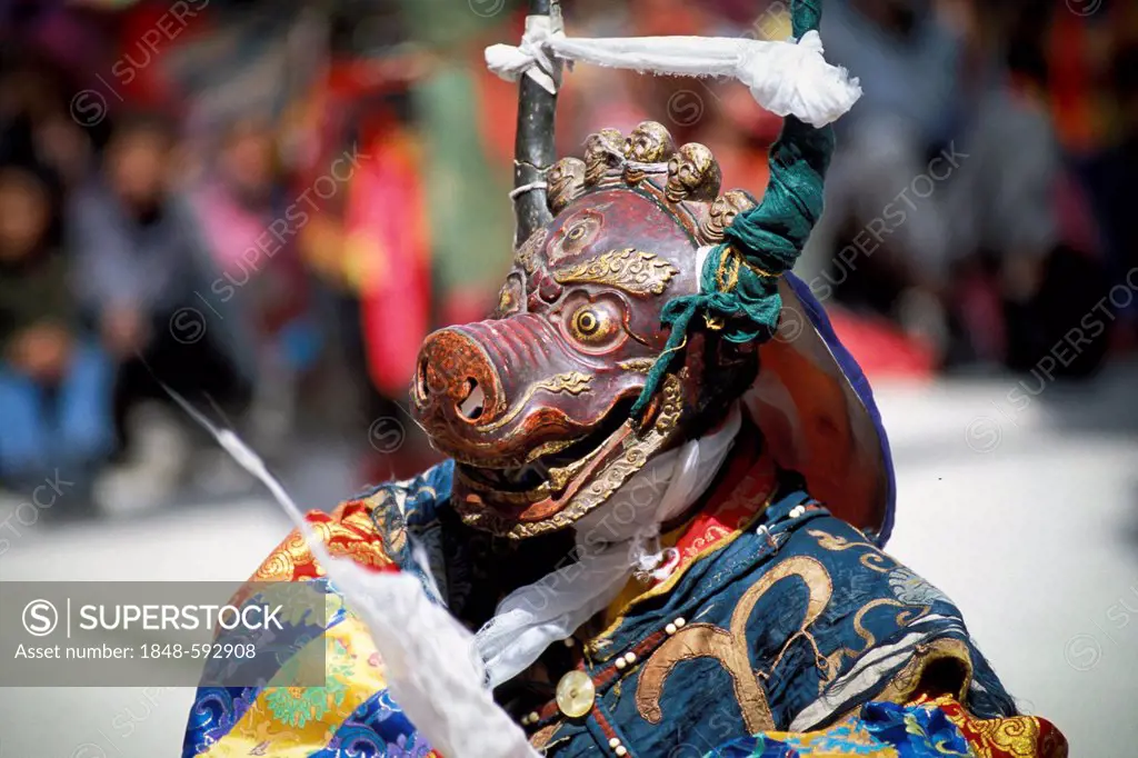 Cham dancer, Tibetan masked dance, Tibetan monastery festival, Sani at Padum, Zanskar, Ladakh, Jammu and Kashmir, Indian Himalayas, North India, India...