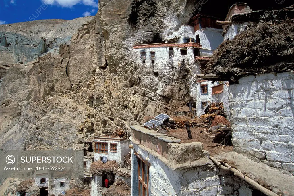 Phuktal's swallow nest Monastery, Tsarap River, Zanskar, Ladakh, Indian Himalayas, Jammu and Kashmir, North India, India, Asia