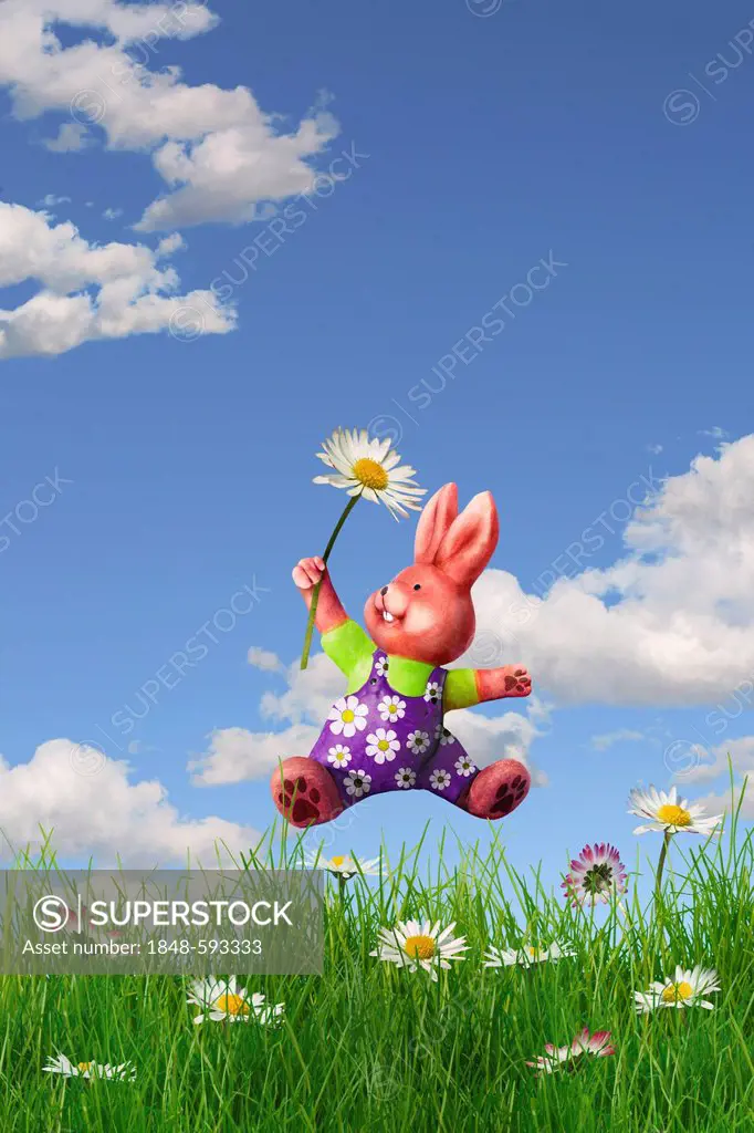 Easter bunny jumping in a meadow, illustration