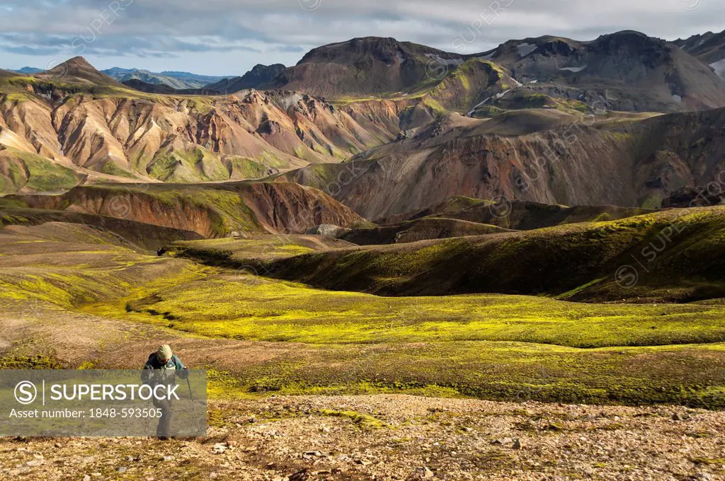 Hiker, rhyolite mountains at the back, Landmannalaugar, Fjallabak Nature Reserve, Highlands of Iceland, Iceland, Europe