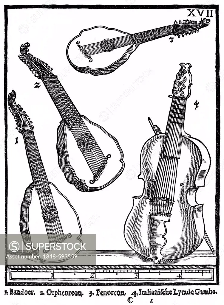 Facsimile of a plate with a bass viol and plucked string instruments, from the historical and music theoretical literature, Syntagma Musicum, musicolo...