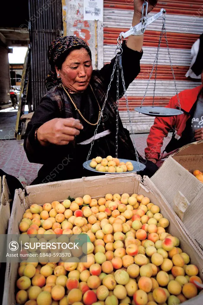 Ladakhi woman with manual scales weighing apricots, market, Leh, Jammu and Kashmir, Indian Himalayas, North India, India, Asia