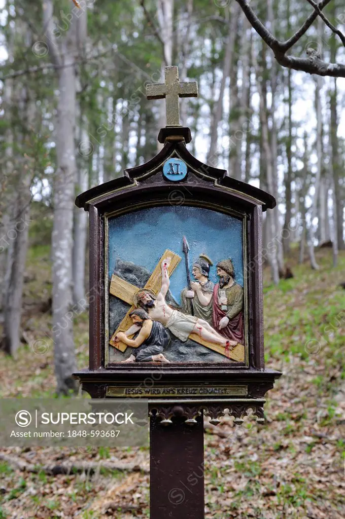Stations of the Cross at Riederstein, Station XI, Crucifixion, Jesus is nailed to the cross, Rottach-Egern, Lake Tegernsee, Upper Bavaria, Bavaria, Ge...