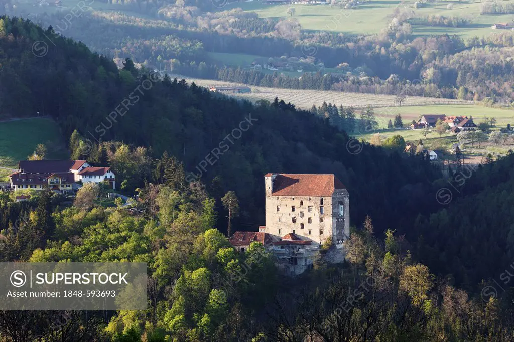 Burg Neuhaus Castle, Stubenberg am See, Styria, Austria, Europe, PublicGround