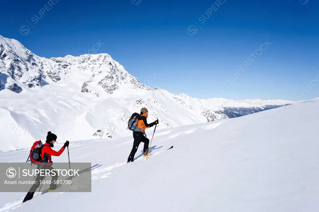 Cross-country skiers during the ascent to the rear of Schoentaufspitze Mountain, Solda in winter, in front of the Ortler Range, Alto Adige, Italy, Eur...