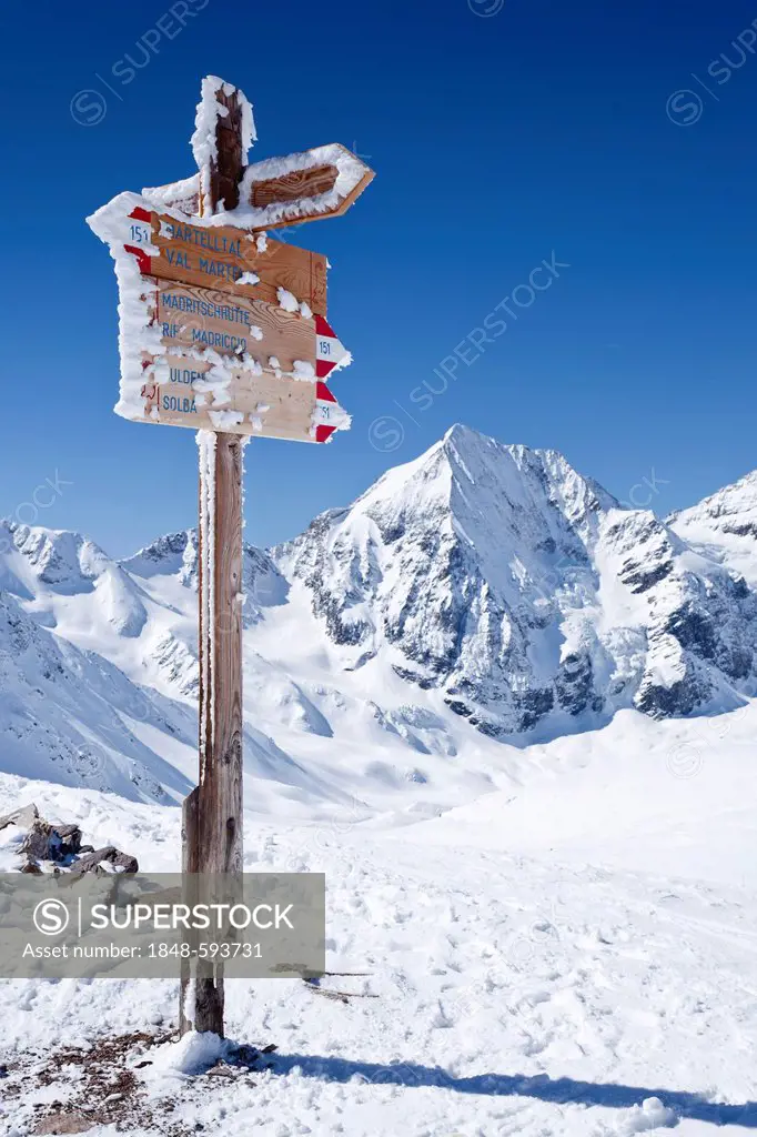 Signpost on Madritschjoch Pass, Solda in winter, in front of Koenigsspitze Mountain, Alto Adige, Italy, Europe