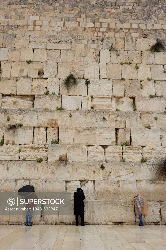 Jews praying at the Western Wall, Wailing Wall, Old City, Arab Quarter, Jerusalem, Israel, Western Asia