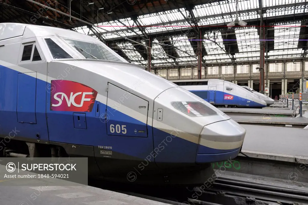 SNCF train, Gare de Lyon railway station, Paris, France, Europe