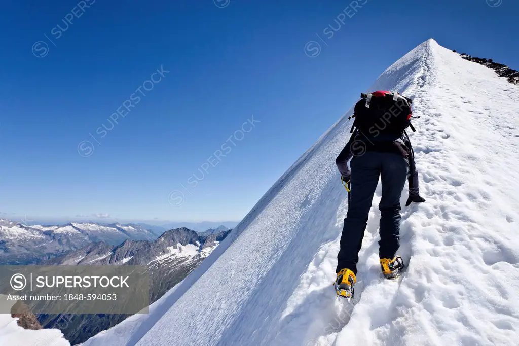 Climber ascending the Mt. Hochfeiler, Pfitschertalvalley, behind the Zillertal mountains, South Tyrol, Italy, Europe