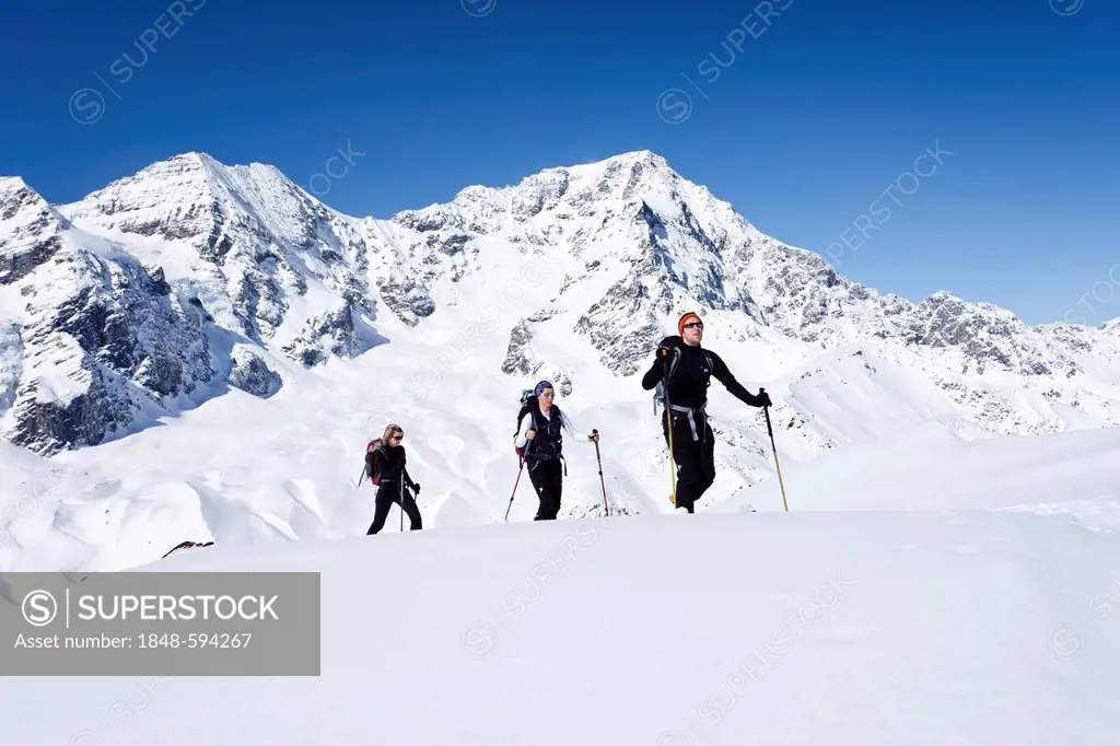 Cross country skiers ascending Hintere Schoentaufspitze Mountain, looking towards the Ortler and Zebru Mountains, Solda, in winter, Alto Adige, Italy,...
