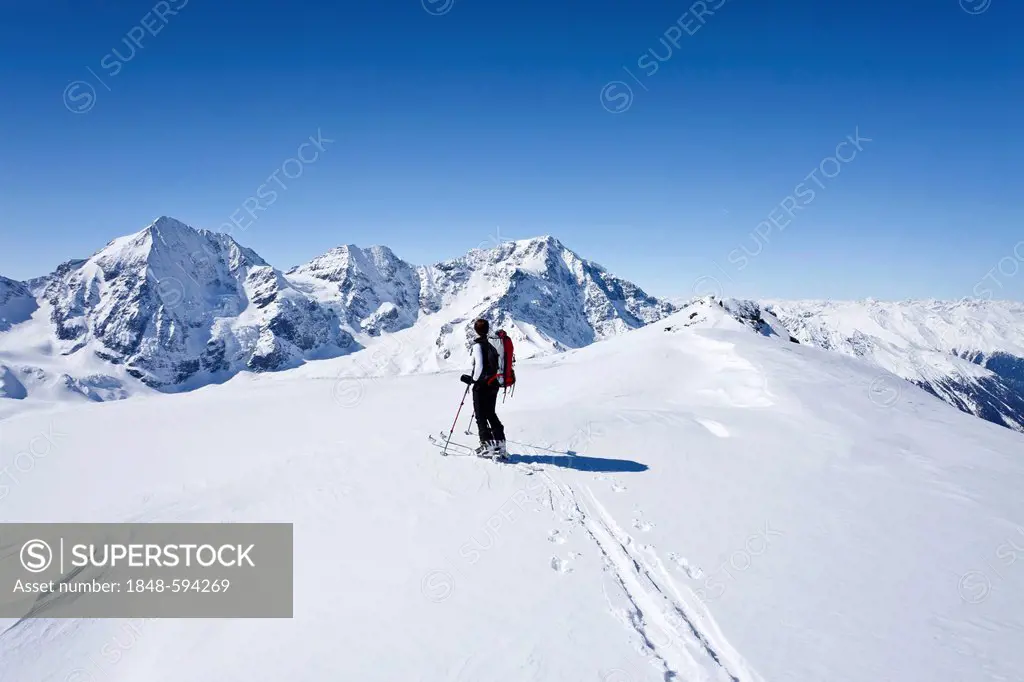 Cross country skier ascending Hintere Schoentaufspitze Mountain, looking towards Koenigsspitze, Ortler and Zebru Mountains, Solda, in winter, Alto Adi...
