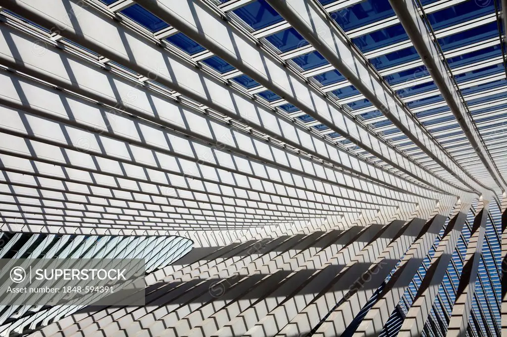 Detailed view of the roof of the station concourse, Gare de Liège-Guillemins railway station, architect Santiago Calatrava, Liege, Luik, Wallonia, Bel...