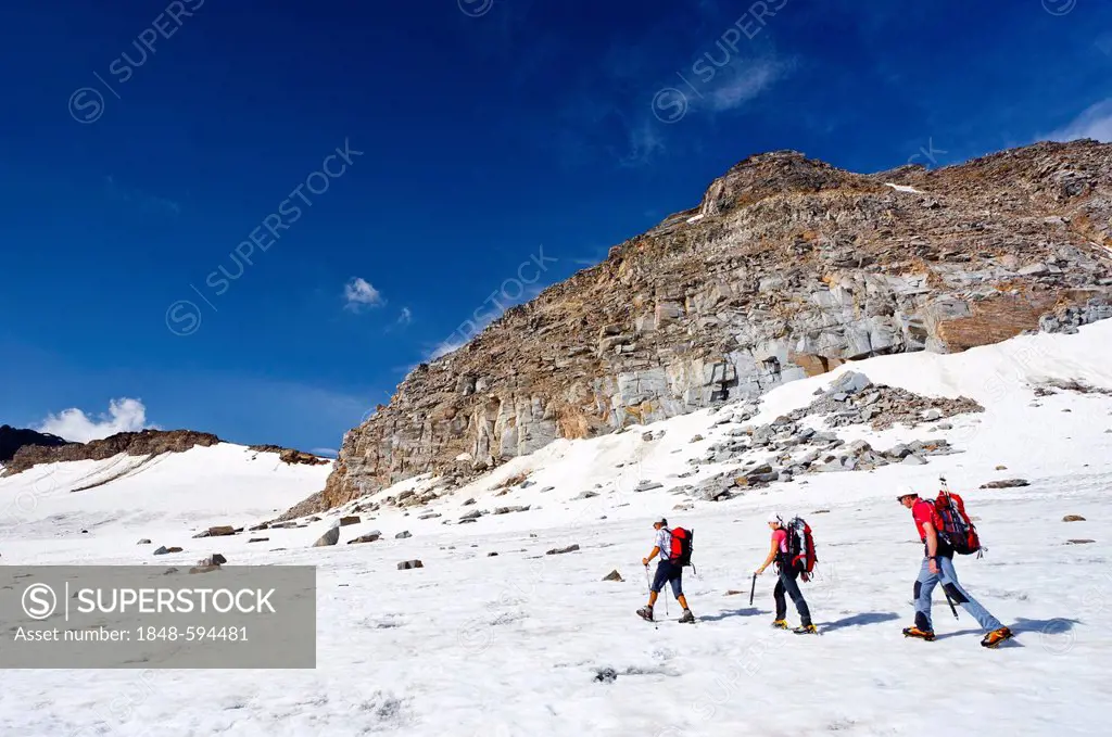 Mountaineers ascending Vertainspitze or Cima Vertana, Ortler region, South Tyrol, Italy, Europe
