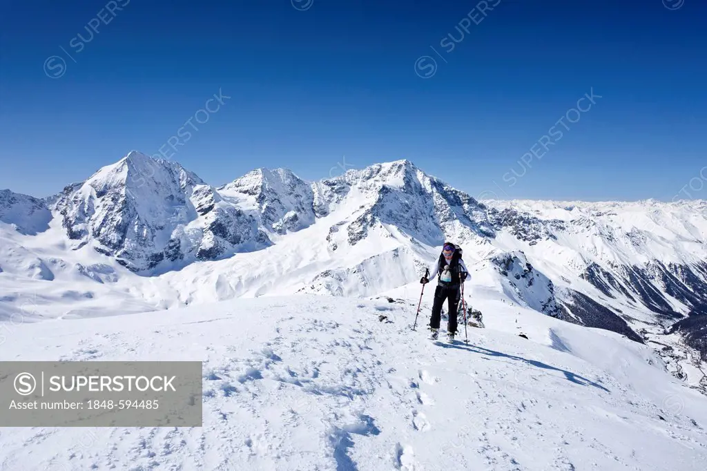 Ski tourer ascending Hintere Schoentaufspitze, Solda, in winter, Ortler and Koenigsspitze or Gran Zebru mountains at back, South Tyrol, Italy, Europe