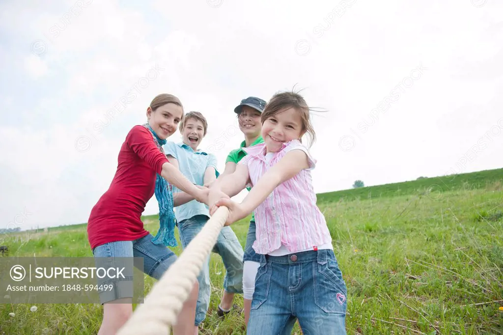 Four friends, three girls and a boy playing tug of war in a meadow