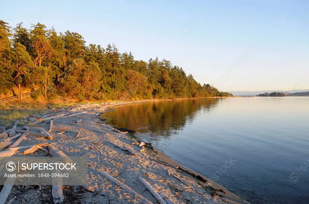 Beach at Sidney Spit, Gulf Islands National Park Reserve of Canada, Sidney Island, British Columbia, Canada